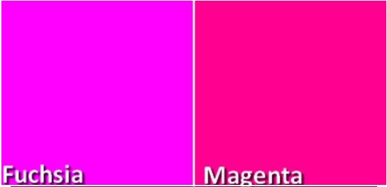 fuchsiamagenta