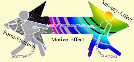 multisense-diametric